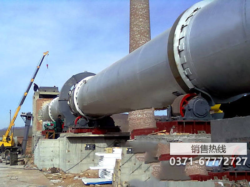 來認識一下！水泥廠寵兒就是它~